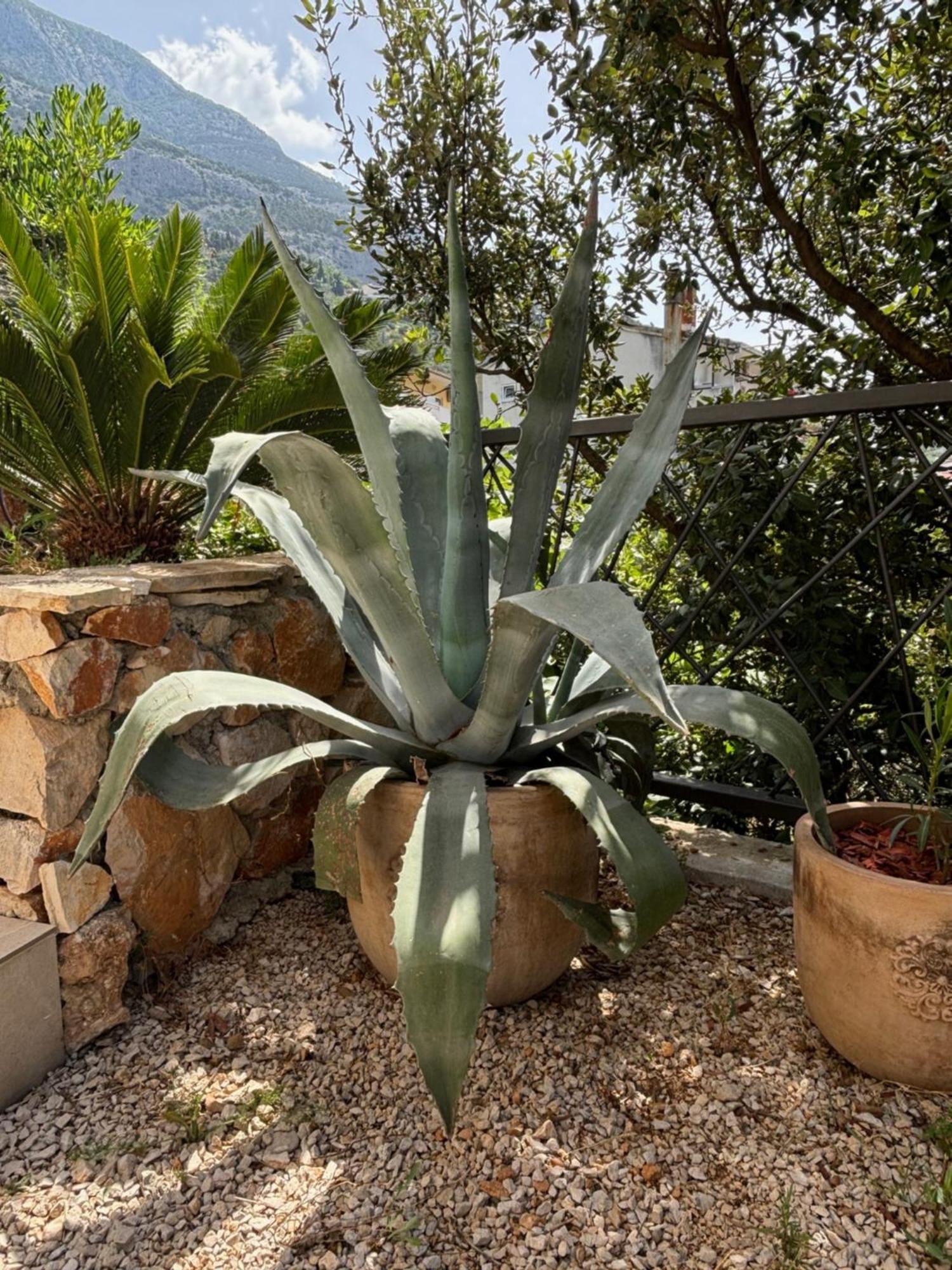 Villa Oleana Makarska Exterior foto